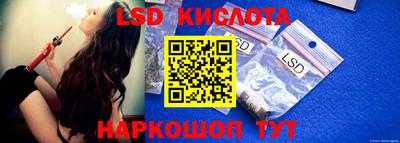 амф Сланцы