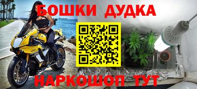 амф Сланцы