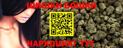 шишки Ставрополь