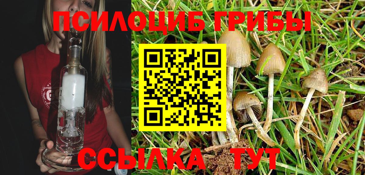 Галлюциногенные грибы Cubensis Аша