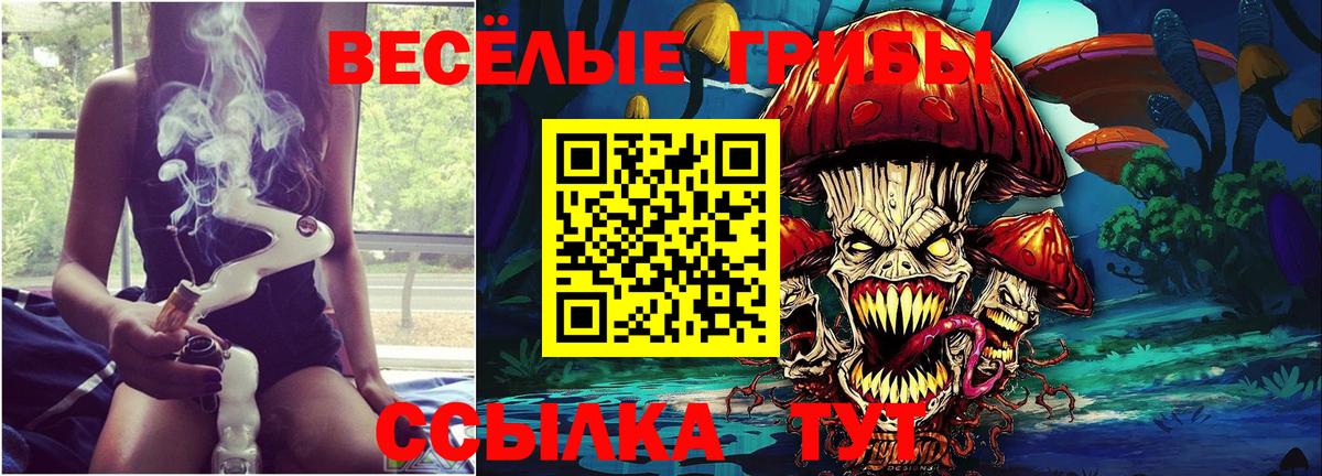 Аша  Галлюциногенные грибы мухоморы  Вход с VPN 